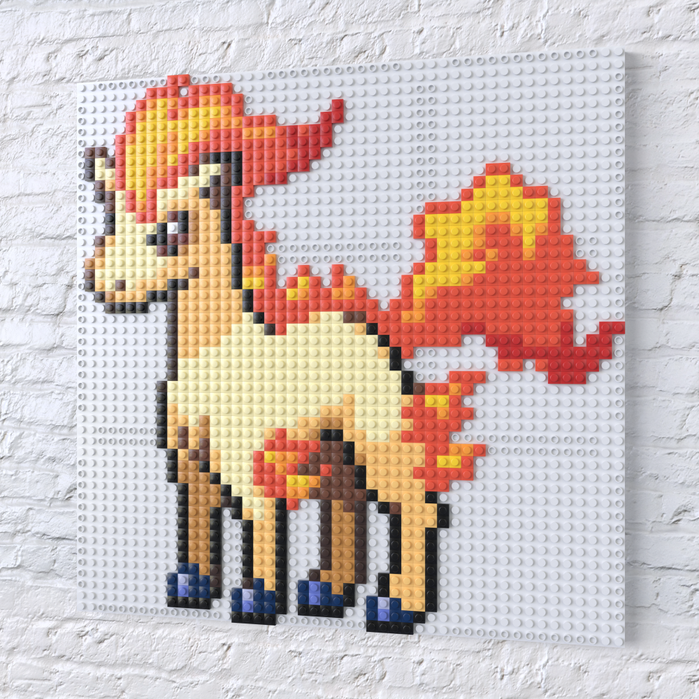 Ponyta Collection