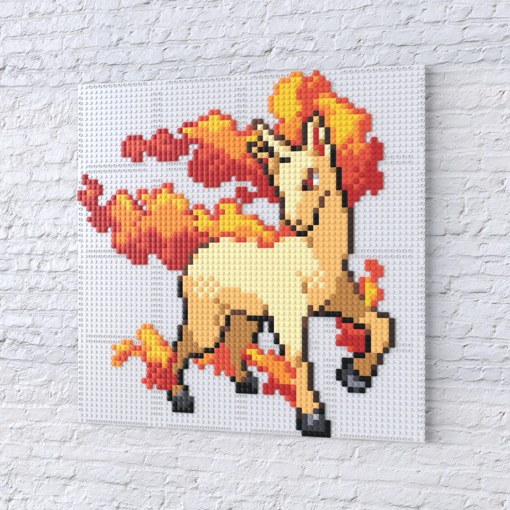 Ponyta Collection