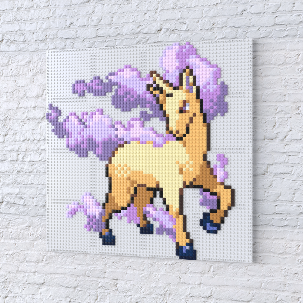 Ponyta Collection