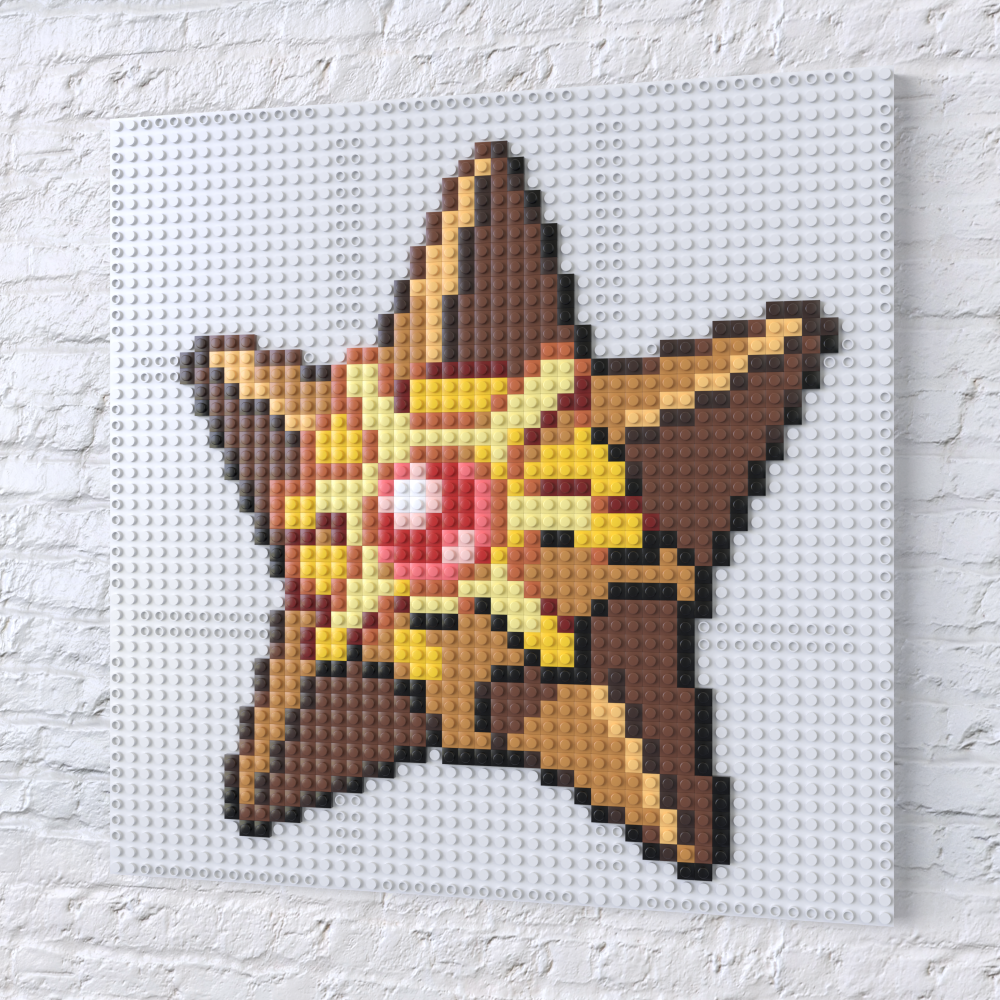 Staryu Collection